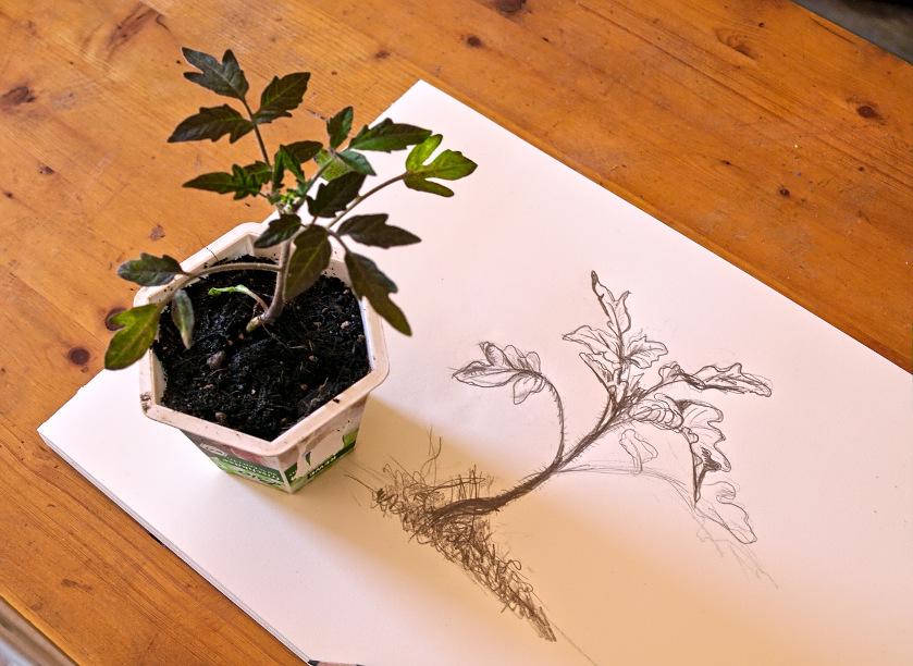 Keramik aus Rostock "Pflanze"